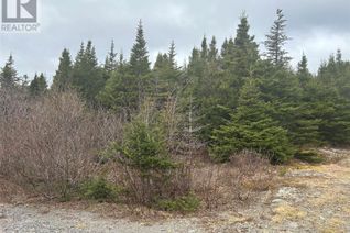 Commercial Land for Sale, Lot #01 Slate Mine Road, Burgoynes Cove, NL
