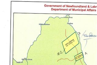 Commercial Land for Sale, 0 Old Light House Road, HEARTS CONTENT, NL