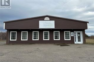 Bed & Breakfast Business for Sale, 15-17 Main Street, Badger, NL
