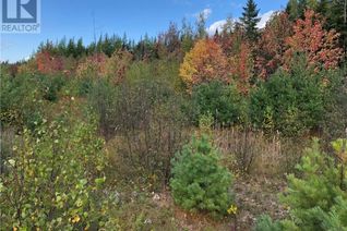 Commercial Land for Sale, - Cumberland Bay South Road, Cumberland Bay, NB