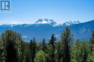 Land for Sale, 13 Proposed Lot #13 150 Townley Street, Revelstoke, BC