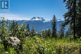 Vacant Residential Land for Sale, 11 Proposed Lot #11 150 Townley Street, Revelstoke, BC