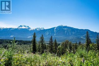 Vacant Residential Land for Sale, 10 Proposed Lot #10 150 Townley Street, Revelstoke, BC