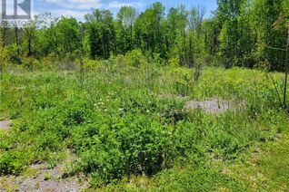 Property for Sale, 0 Frances Street, Madoc, ON Property for Sale, 0 Frances Street, Madoc, ON