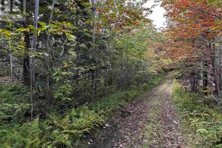 Commercial Land for Sale, Lot Broad Cove Road, Culloden, NS