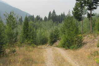 Commercial Land for Sale, 130 Acres Sugar Lake-Sihlis Fsr Road, Cherryville, BC