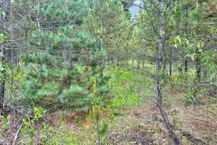 Vacant Residential Land for Sale, Lot B Wenger Road, Arrow Creek, BC