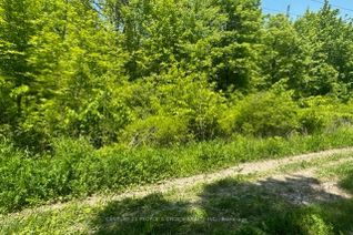Vacant Residential Land for Sale, Ptl13 Eagle St, Fort Erie, ON