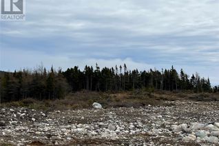 Land for Sale, 3 Butlers Road, WITLESS BAY, NL