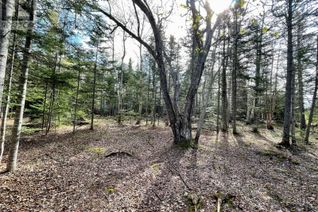 Commercial Land for Sale, 53p Sandy Point Road, Norris Arm, NL