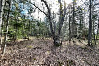 Property for Sale, 53p Sandy Point Road, Norris Arm, NL