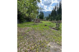 Vacant Residential Land for Sale, 23 Cherokee Drive, Elkford, BC