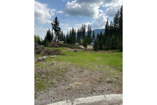 Property for Sale, 21 Cherokee Drive, Elkford, BC