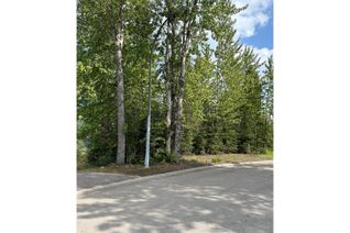 Vacant Residential Land for Sale, 1 Caledonia Place, Elkford, BC