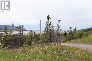 Land for Sale, 20 Shears Lane, Rocky harbour, NL