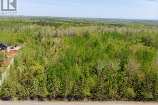 Property for Sale, Lot 3 Highway 4 Highway, Wentworth, NS