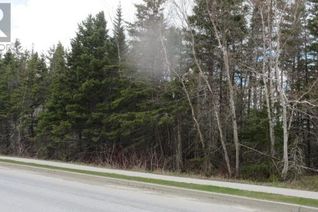 Commercial Land for Sale, 144-148 Midland Row, Pasadena, NL