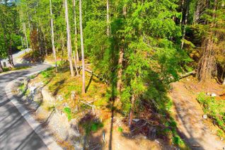 Commercial Land for Sale, Lot 1 Hayes Road, Bowen Island, BC