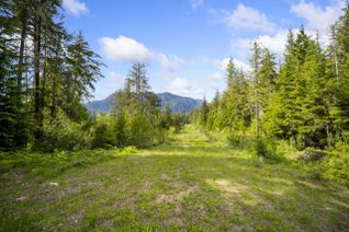 Commercial Land for Sale, Lot 48 Crawford Creek Road, Crawford Bay, BC