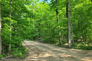Vacant Residential Land for Sale, Ptlt 41 Robson Road Rd, Chatsworth, ON