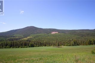 Property for Sale, 2410 Trinity Valley Road, Enderby, BC