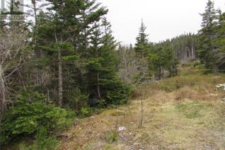 Commercial Land for Sale, 6 Country Lane, Conception Harbour, NL