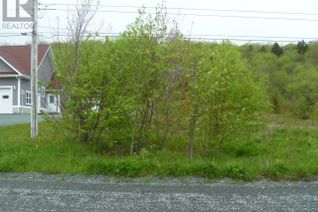 Commercial Land for Sale, Lot 1 Lemarchant Street, Carbonear, NL