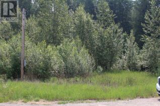 Commercial Land for Sale, 460 Dunn Lake Rd, Clearwater, BC