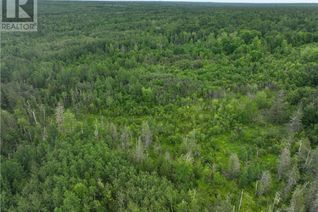 Land for Sale, 29.2 Hec 430 Hwy, Trout Brook, NB