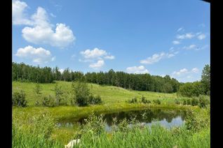 Commercial Land for Sale, 56511 Range Road 14, Rural Barrhead County, AB