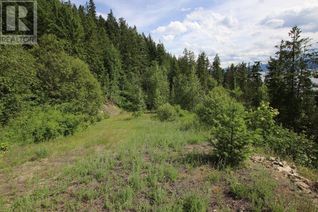 Property for Sale, 5959 23 Highway, Nakusp, BC