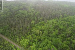Commercial Land for Sale, 41a Widow Point Loop, Inverness, NS