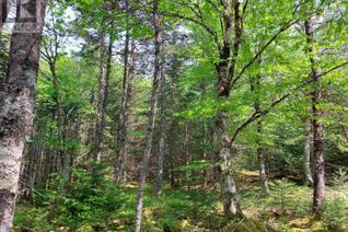 Land for Sale, Lot 23ij Diana Mountain Rd., The Points West Bay, NS