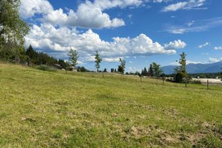 Vacant Residential Land for Sale, Lot 2 Hilton Street #Proposed, Creston, BC
