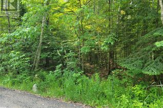 Commercial Land for Sale, 29 Mount Vernon Trail Unit# 29, Huntsville, ON