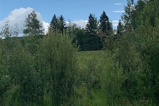 Commercial Land for Sale, 1 Mountain Springs #Lot 4, Blo, Rural Woodlands County, AB