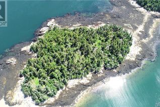 Land for Sale, - Spruce Island, Back Bay, NB