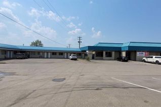 Business for Sale, 309 Main Street, Three Hills, AB
