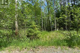 Land for Sale, Lot 1 Butler Road, Lake Egmont, NS