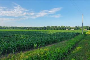 Property for Sale, 555 3rd Concession Road, Delhi, ON