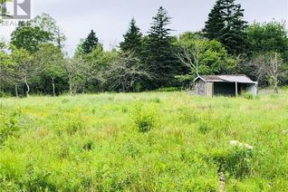 Commercial Land for Sale, - Swimming Pool, Welshpool, NB