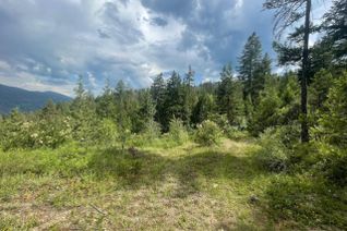 Land for Sale, 1635 Stewart Creek Road, Christina Lake, BC
