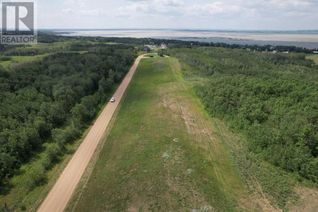 Commercial Land for Sale, On Buffalo Lane, Rural Stettler No. 6, County of, AB