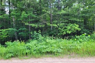 Commercial Land for Sale, 0 Shields Point Road, Bonfield, ON