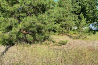Vacant Residential Land for Sale, Lot 3 Ode Road, Christina Lake, BC