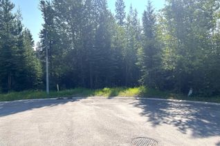 Vacant Residential Land for Sale, 8 Dogwood Place, Elkford, BC