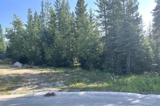 Vacant Residential Land for Sale, 7 Dogwood Place, Elkford, BC