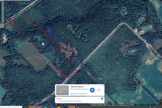 Land for Sale, 0 Cartyville Road, Cartyville, NL