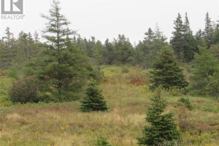 Commercial Land for Sale, 16 Old Road Extension, Colliers, NL