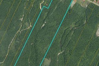 Land for Sale, 94.1 Acres Rte 450, Saint-Wilfred, NB